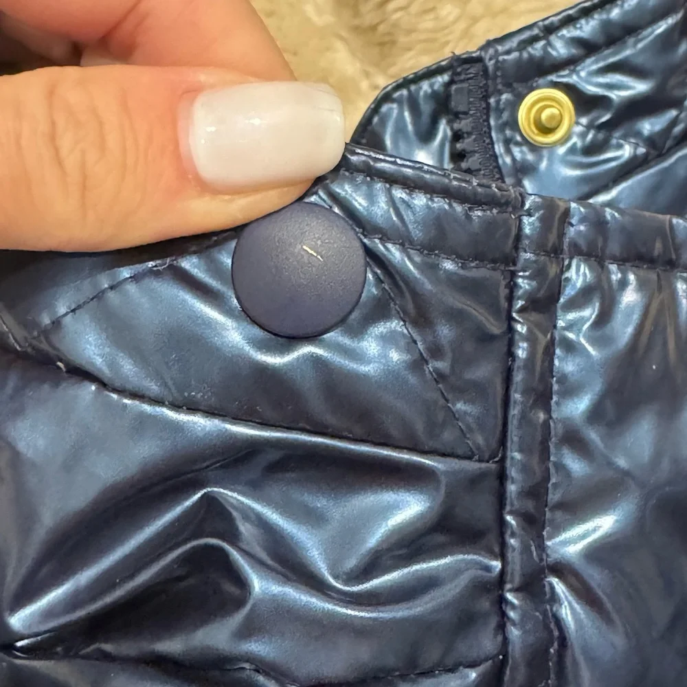 Crewcuts missing fur